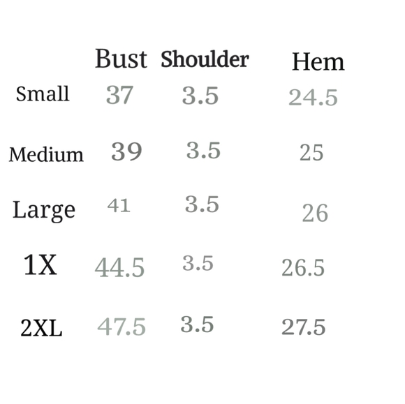 Size 2X Gianna Silky V neck blouse & lace capped sleeves - Picture 4 of 4